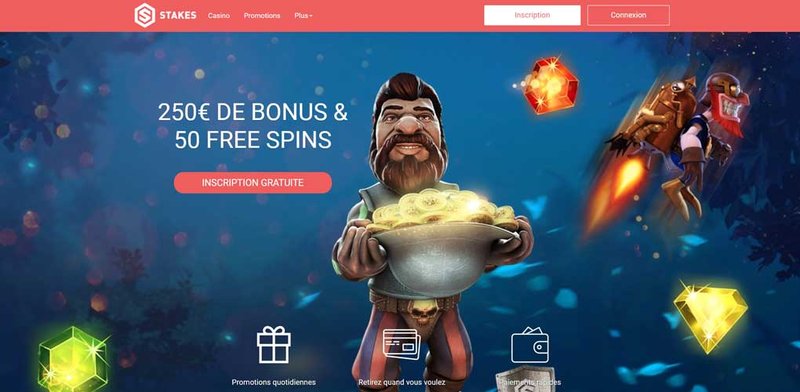 France - stake casino france